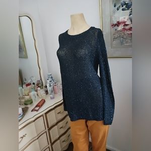 NWT Qed London See through Navy Blue with back zipper from top to bottom.